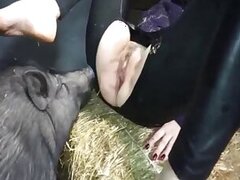 Farm bestiality porn