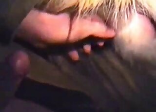 Screwing a tight pony slit from the rear