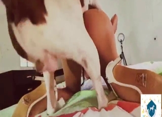 White mask girl is going to fuck her white dog