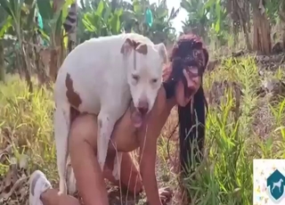 Bestiality sex with a white dog that GAPES