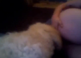 Two dogs take on that horny amateur zoophile