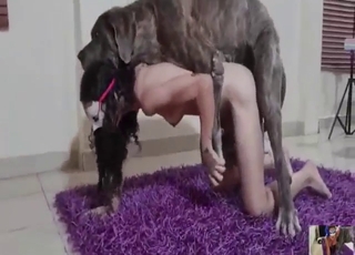 Brunette girl with big tits fucked in a threesome