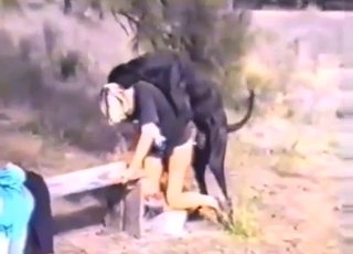 Dog is going to get off with a sexy public slut