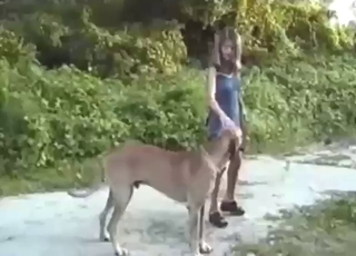 Incredible teen jerking off of a dog in the nature