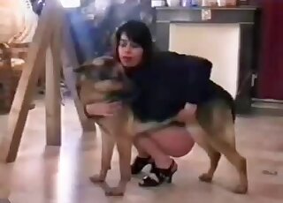 Alluring brunette is sucking her lovely doggy