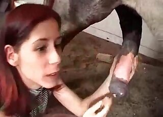 Bestiality group scene to make you cum HARD